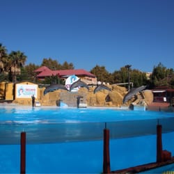 Selwo Marina - Delfinshow im Selwo Definarium Benalmádena
