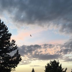 Steens Mountain Wilderness Resort - Watching the birds in the evening...