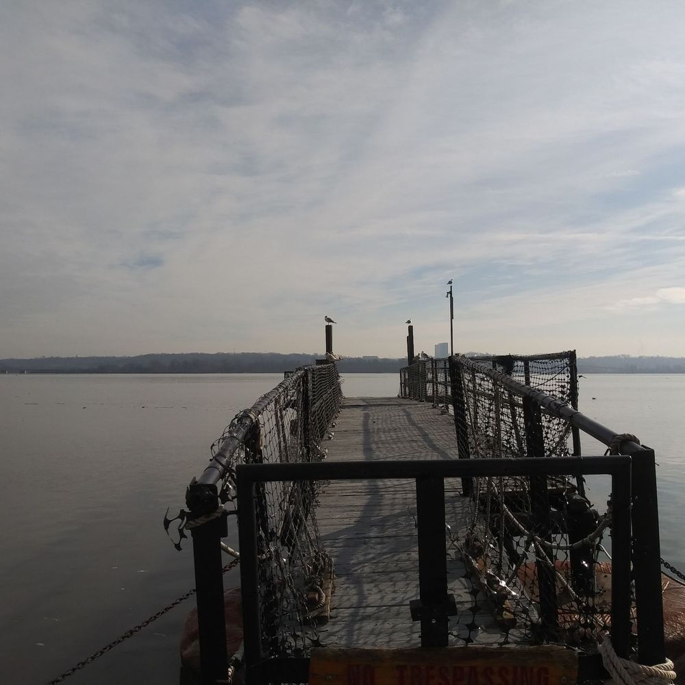 Waterfront Park - Parks Near Me - Alexandria, Virginia