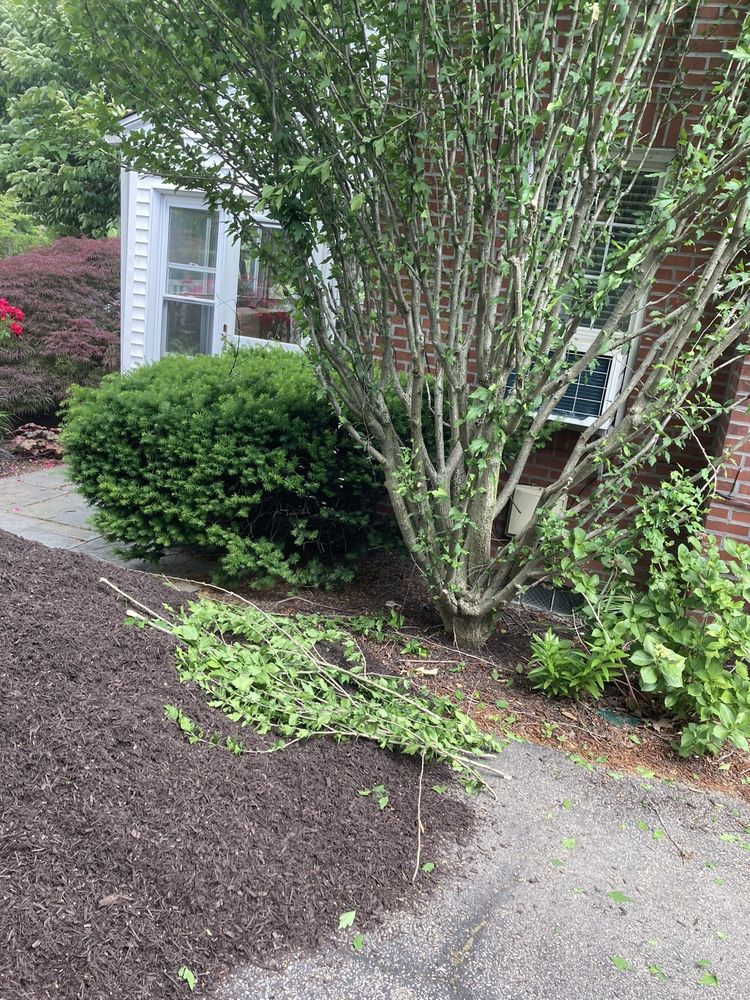 MAYFIELD GARDENS 960 S Hunt Rd, Newtown Square, Pennsylvania Phone