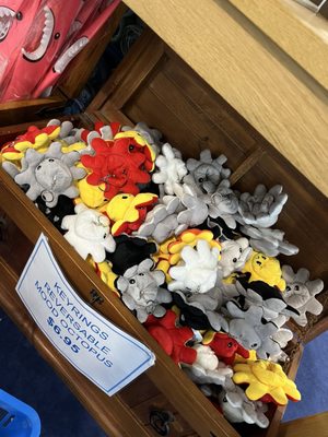 AQWA The Aquarium Of Western Australia by null