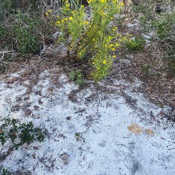 Seabranch Preserve State Park - Hiking Near Me - Stuart, Florida