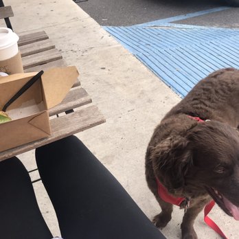 JuiceUs - Smash Toast, Golden Milk Cofee, Doggo - Juice Bars & Smoothies Near Me - Brownsville, Texas