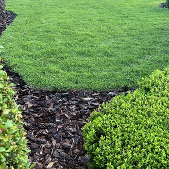 Sod Express Nursery - view of a lawn - Landscaping Near Me - Sanford, Florida Sod Express Nursery - view of a lawn - Landscaping Near Me - Sanford, Florida