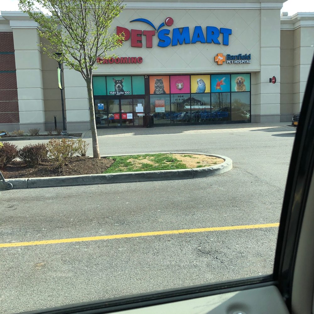 PetSmart - Pet Stores Near Me - Amherst, New York PetSmart - Pet Stores Near Me - Amherst, New York