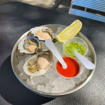 Holbox - Grassy Bar, Moro Bay Oysters (super creamy!) - Latin American Near Me - Los Angeles, California