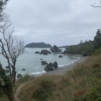 Baker Beach - A view of Baker Beach before descending the path/stairs/"ladder" down to the beach. - Beaches Near Me - Trinidad, California