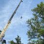 Photo of Highborn Tree Service