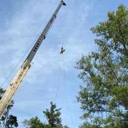 Highborn Tree Service