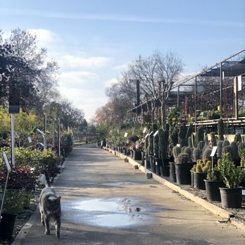 Evergreen Garden Center - Nurseries & Gardening Near Me - Clovis, California