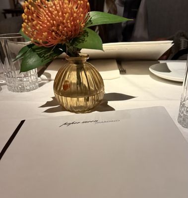 Paper Moon Giardino by null