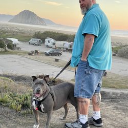 Morro Strand State Beach Campground