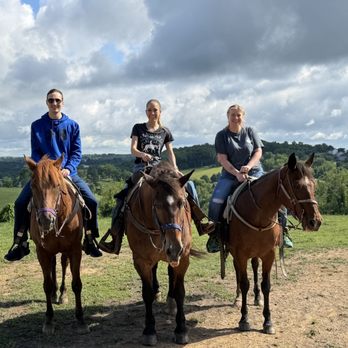 Rolling Hills Ranch - Romeo, Abraham and Patty the horses - Horseback Riding Near Me - Bridgeville, Pennsylvania Rolling Hills Ranch - Romeo, Abraham and Patty the horses - Horseback Riding Near Me - Bridgeville, Pennsylvania