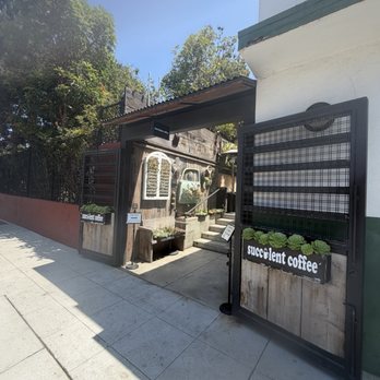 Succulent Coffee - Coffee & Tea Near Me - Oceanside, California Succulent Coffee - Coffee & Tea Near Me - Oceanside, California