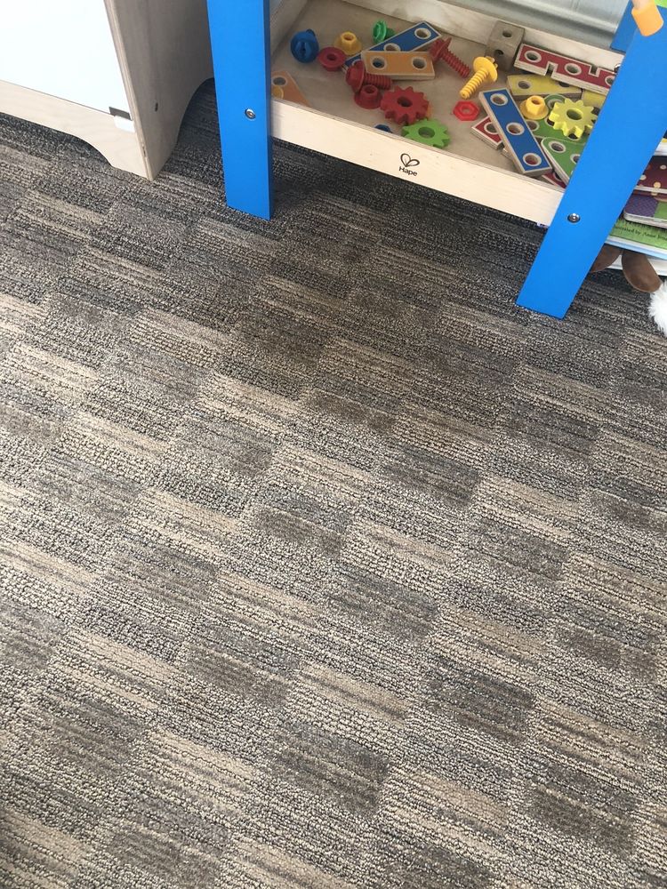 KNOCKOUT CARPET CLEANING Updated August 2024 65 Photos & 70 Reviews Carlsbad, California