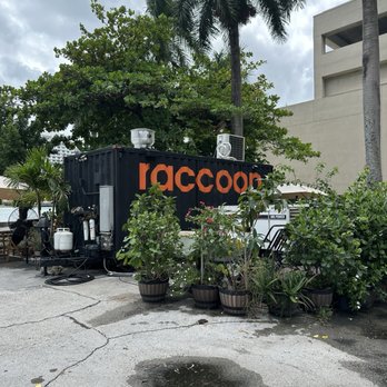 Raccoon Coffee - Coffee & Tea Near Me - Miami, Florida Raccoon Coffee - Coffee & Tea Near Me - Miami, Florida