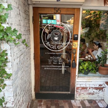 Black Sheep Bagel Cafe - Bagels Near Me - Cambridge, Massachusetts