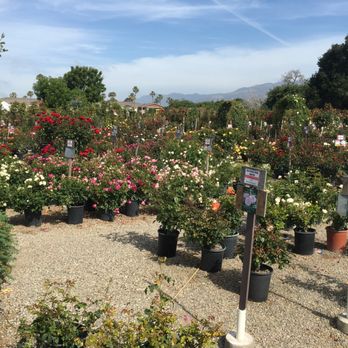 La Sumida Nursery - Nurseries & Gardening Near Me - Santa Barbara, California La Sumida Nursery - Nurseries & Gardening Near Me - Santa Barbara, California