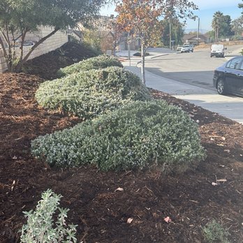 All Terrain Landscaping - Front of slope area. Planting and gorilla hair. - Landscape Architects or Designers Near Me - Perris, California