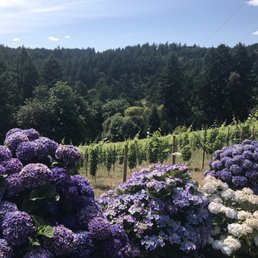 Beautiful view
