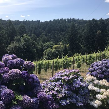 Beckham Estate Winery - Beautiful view - Wineries Near Me - Sherwood, Oregon