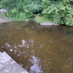 White Pond
