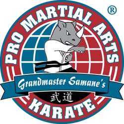 Pro Martial Arts