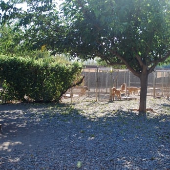 Sundowners Kennels - Gravel play yards - Pet Training Near Me - Gilroy, California Sundowners Kennels - Gravel play yards - Pet Training Near Me - Gilroy, California