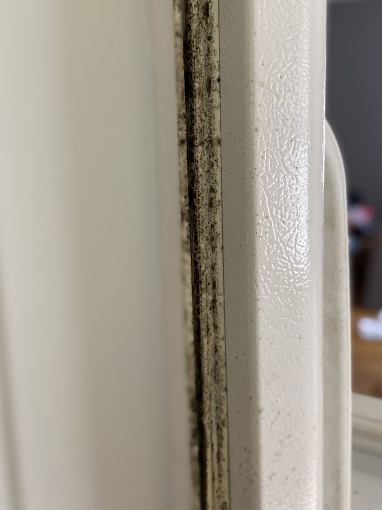 DUST OF LOVE Home Cleaning Columbus, GA Phone Number