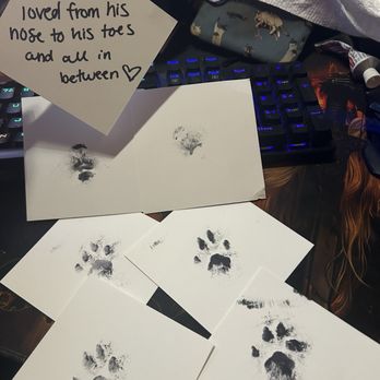 VEG ER for Pets - The paw prints the tech took for me of Koda - Emergency Pet Hospital Near Me - Tampa, Florida VEG ER for Pets - The paw prints the tech took for me of Koda - Emergency Pet Hospital Near Me - Tampa, Florida
