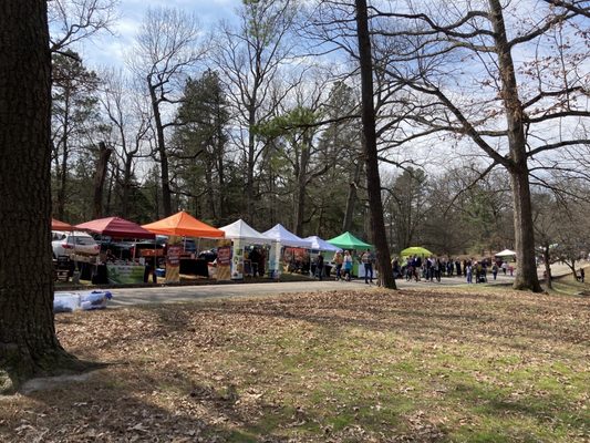 RVA BIG Market by null