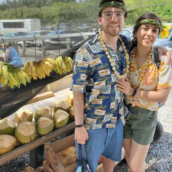Aloha Sunshine Tours - Bus Tours Near Me - Honolulu, Hawaii Aloha Sunshine Tours - Bus Tours Near Me - Honolulu, Hawaii