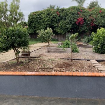 Pro Select Construction Services - Before-Randomly placed fruit trees and overgrown bougainvillea and ficus. - General Contractors Near Me - Escondido, California Pro Select Construction Services - Before-Randomly placed fruit trees and overgrown bougainvillea and ficus. - General Contractors Near Me - Escondido, California