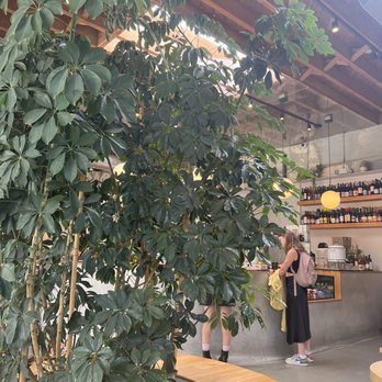 Highly Likely - Inside - Coffee & Tea Near Me - Los Angeles, California