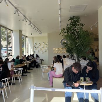 Q Specialty Coffee - Inside - Coffee Roasteries Near Me - San Francisco, California Q Specialty Coffee - Inside - Coffee Roasteries Near Me - San Francisco, California