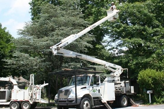 Musser's Tree Service - tree service in Elizabethtown, PA