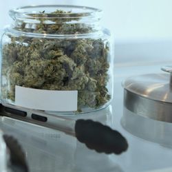 Glenwood Dispensary