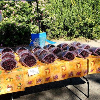 Clark Fork Market - Montana huckleberries. - Farmers Market Near Me - Missoula, Montana