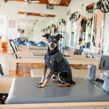Pilates V - Deuce - Pilates Near Me - Oceanside, California Pilates V - Deuce - Pilates Near Me - Oceanside, California
