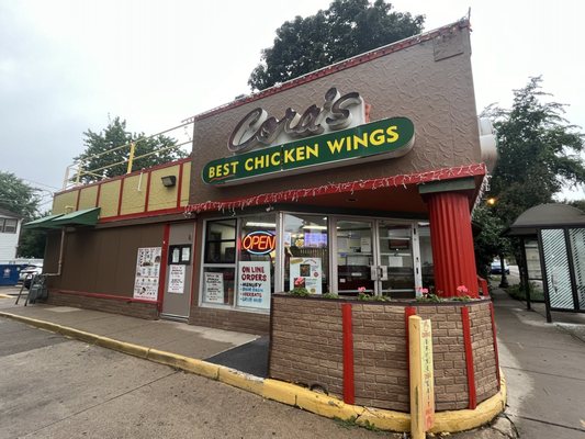 Cora's Best Chicken Wings by null