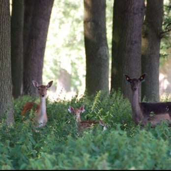 Phoenix Park - Parks Near Me