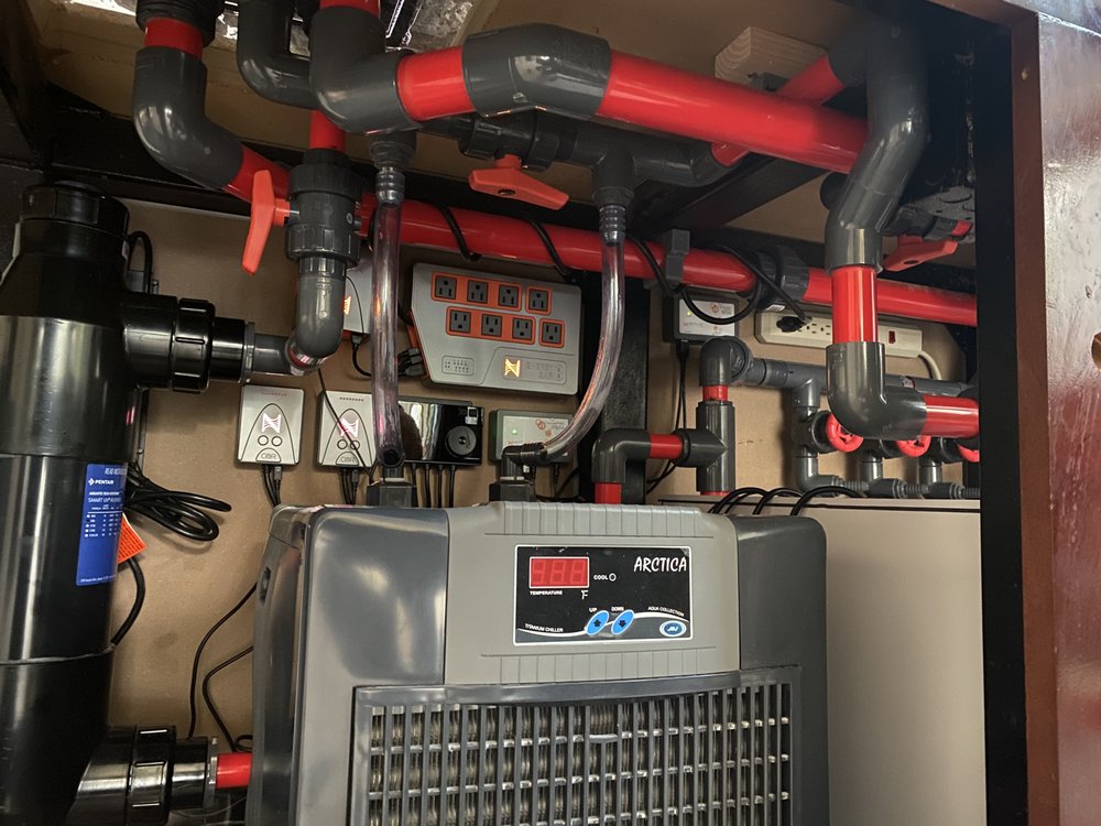 ROCKSTAR AQUARIUM SERVICE Updated October 2024 Reno, Nevada