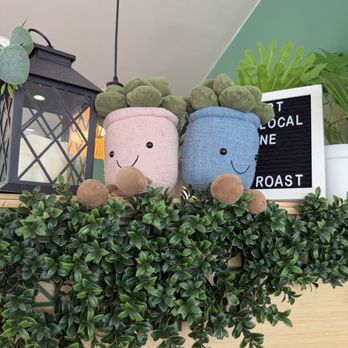 Good Roast at Kool Bear - Coffee & Tea Near Me - Orlando, Florida Good Roast at Kool Bear - Coffee & Tea Near Me - Orlando, Florida
