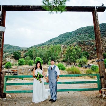 Reptacular Animals - Party & Event Planning Near Me - Sun Valley, California Reptacular Animals - Party & Event Planning Near Me - Sun Valley, California
