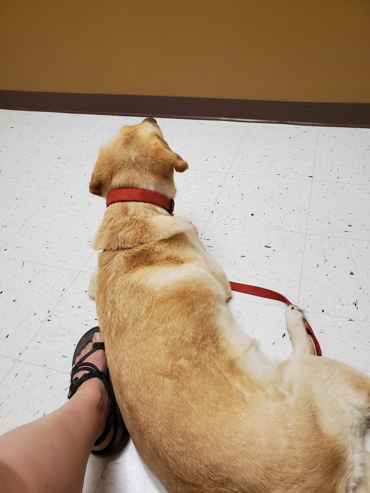 PRAIRIE LANE VETERINARY HOSPITAL Updated August 2024 14 Reviews