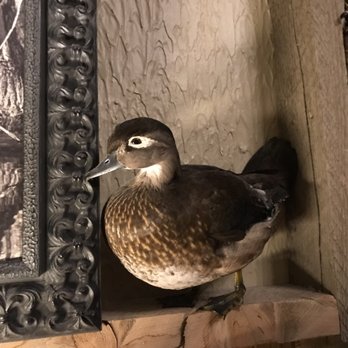 Big Cypress Lodge - Duck Cabin - Hotels Near Me - Memphis, Tennessee Big Cypress Lodge - Duck Cabin - Hotels Near Me - Memphis, Tennessee