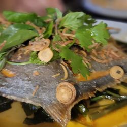 Selva - Fish, small and thin.