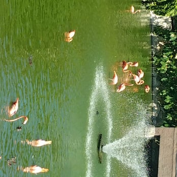 Jungle Island - Amusement Parks Near Me - Miami, Florida Jungle Island - Amusement Parks Near Me - Miami, Florida