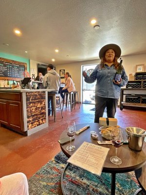 Camins 2 Dreams by null