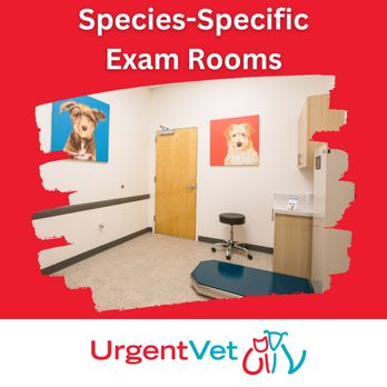 UrgentVet - Tuscon - Veterinarians Near Me - Tucson, Arizona UrgentVet - Tuscon - Veterinarians Near Me - Tucson, Arizona